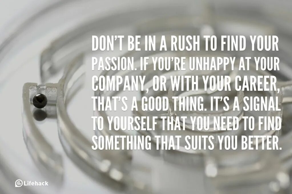 Finding passion. Finding your passion. about finding your passion. if you hadn&#039;t been in a hurry.