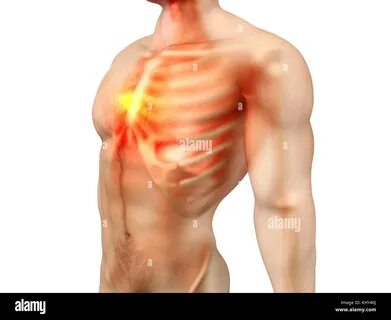 Pain in the Chest or the heart. 3D rendered illustration Stock Photo - Alamy