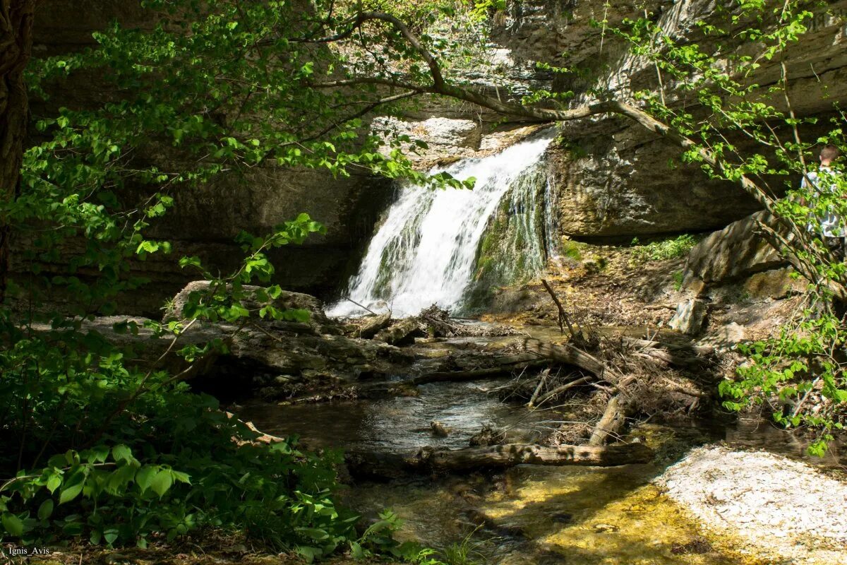 Горы водопад медовый. Долина очарования горячий ключ медовые водопады. Долина очарования подкумок. Долина очарования ессентуки. Фанагорийское горячий ключ грибы.
