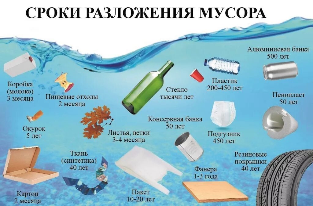 Через сколько разлагается. Срок разложения пластика. разложение мусора в природе. сколькоразлагаеися пластик. сроки разложения отходов.