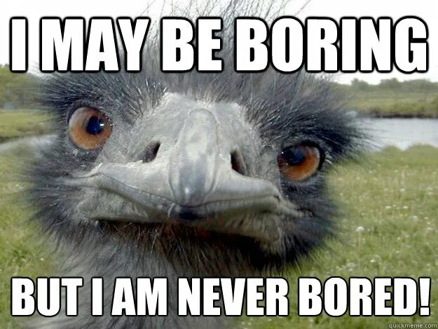 But it is boring too. Boring bored. bored vs boring. разница между bored и boring. i am boring.