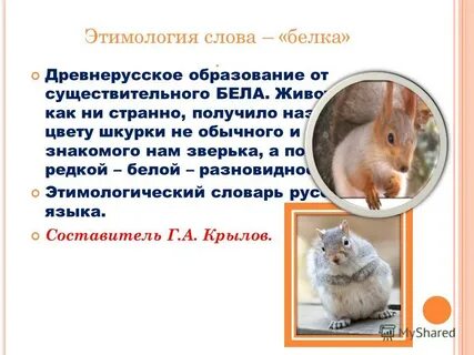 Белка означает