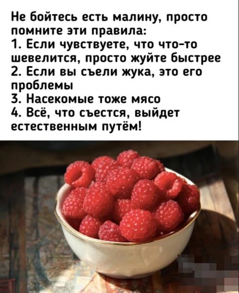 Правило поедания малины. Приколы про малину. Шутки про малину. Не бойтесь есть малину. Приму малину