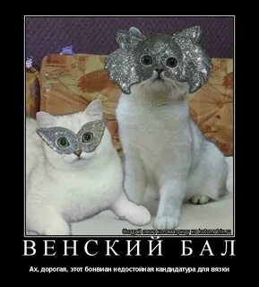 Классная говорю