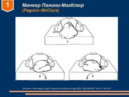 Маневр 1