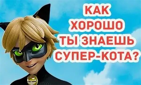 Тест супер кота