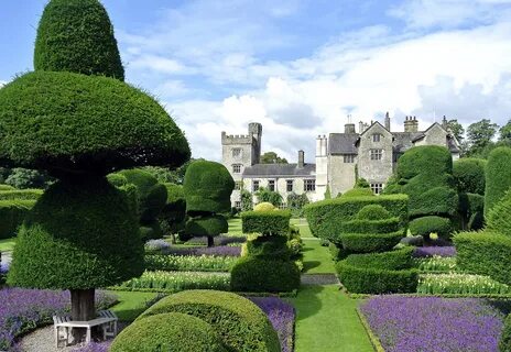 Garden world