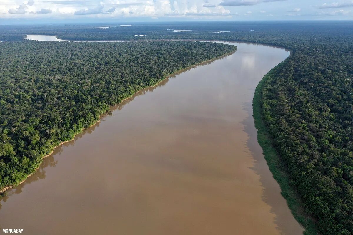 Амазония река Амазонка. Амазонка река Укаяли. Амазонка Укаяли Мараньон. Конго река Ориноко река.