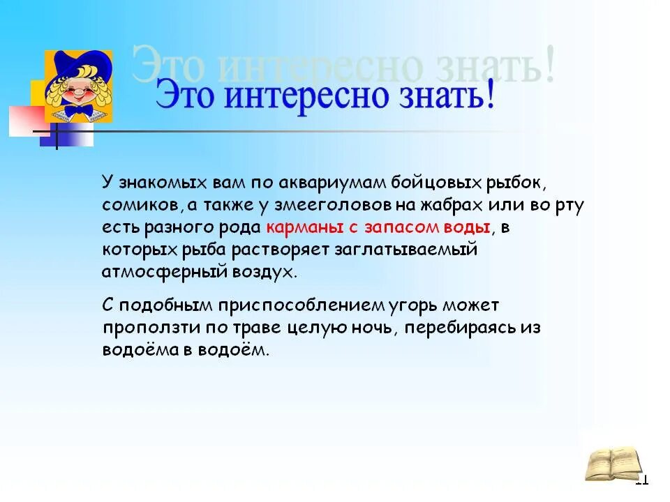 Что является самым интересным