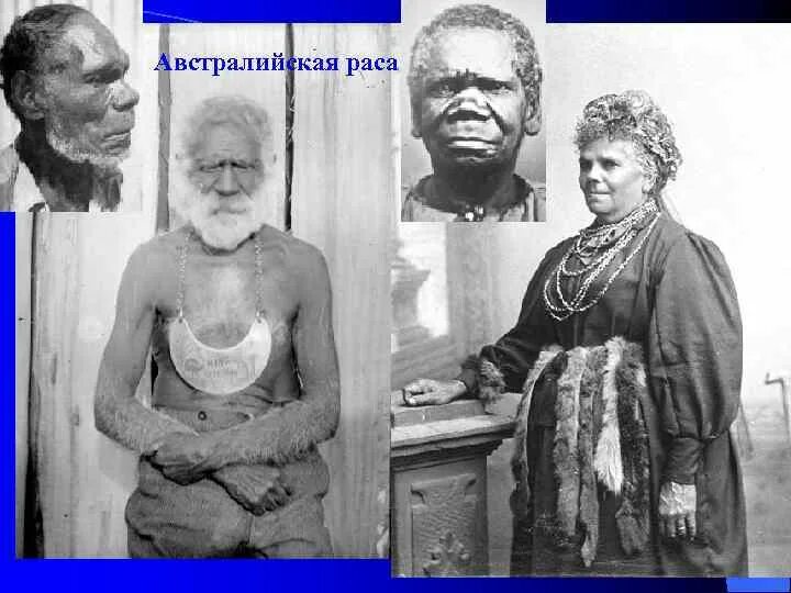 Расы пола языка и религии. Независимо от расы. Право на образование независимо от расы. Народы евразии. Крупные этносы.