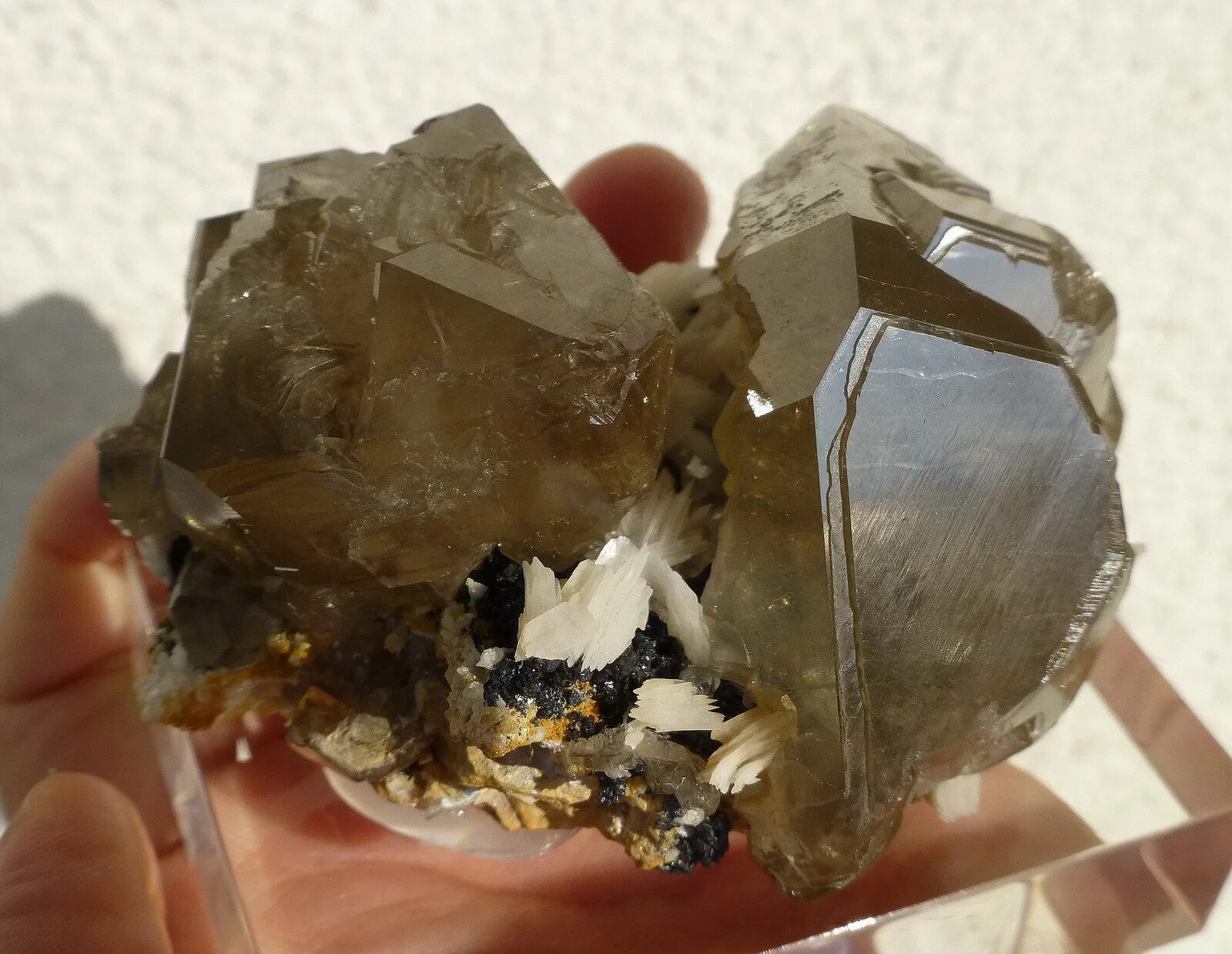 минерал 4. минеральные земли. кнебелит. минерал 4. стронцианит минерал.