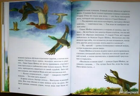 Текст лягушка путешественница полностью