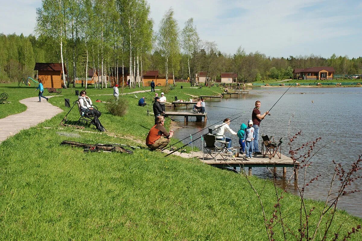 Рыболовная усадьба золотые караси деревня Огуднево. Золотые караси платная рыбалка Огуднево. Рыбалка золотой карась Щелковский район.