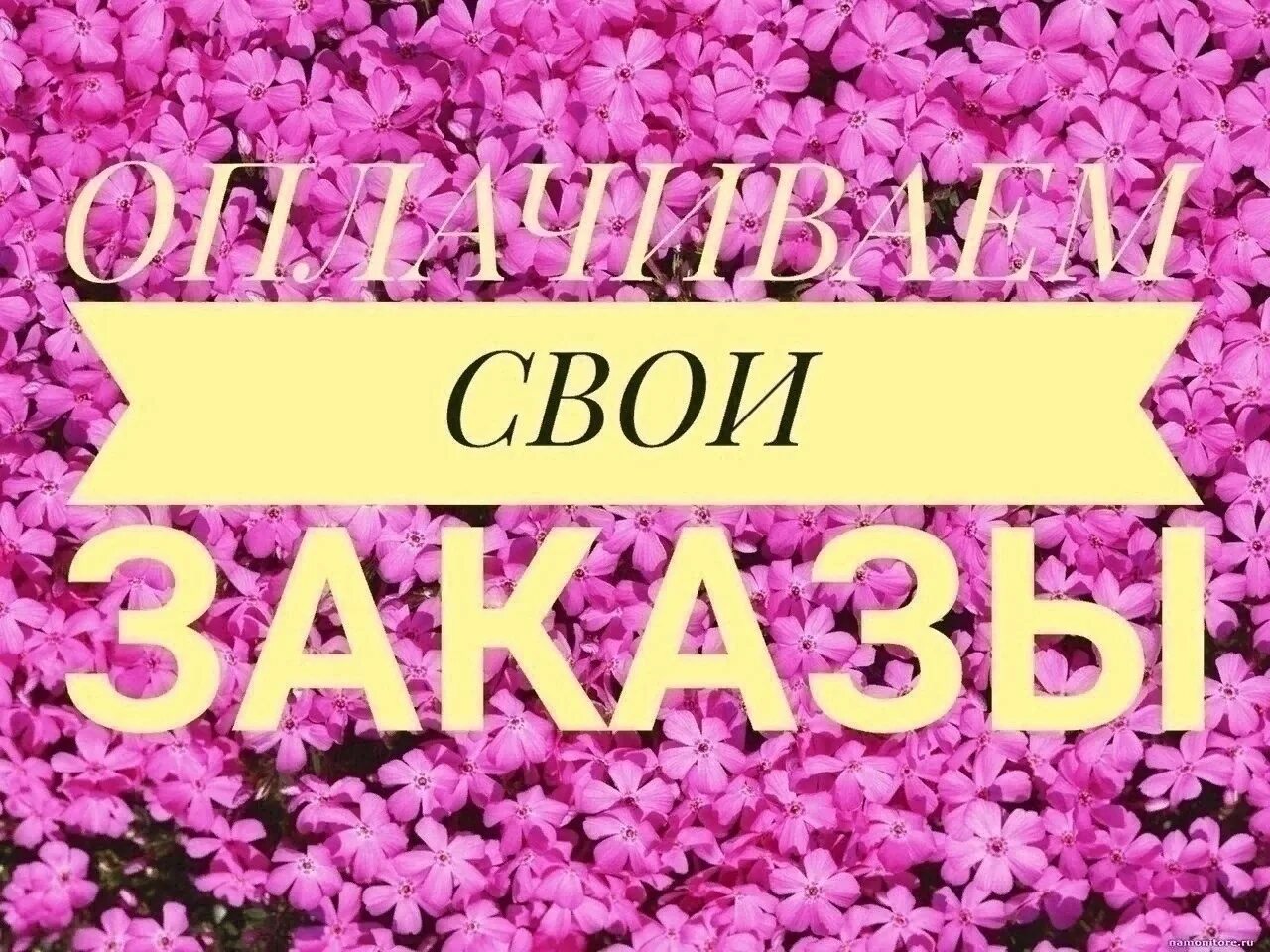 Оплату не забудьте. Оплата заказа. Оплата заказа картинки. Жду оплату картинки. Оплачиваем заказы.