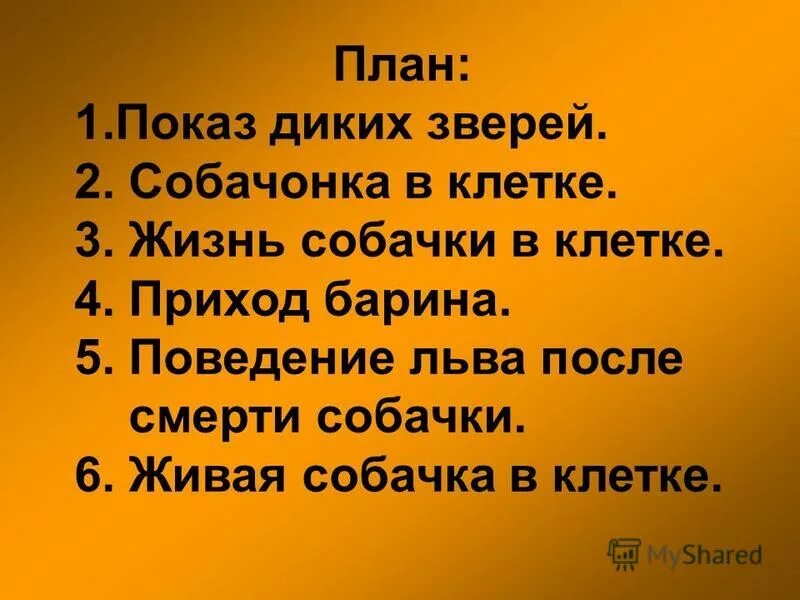 План толстой. Лев и собачка толстой план. План рассказа Лев и собачка. План Лев и собачка 3 класс. План рассказа Лев и собака.