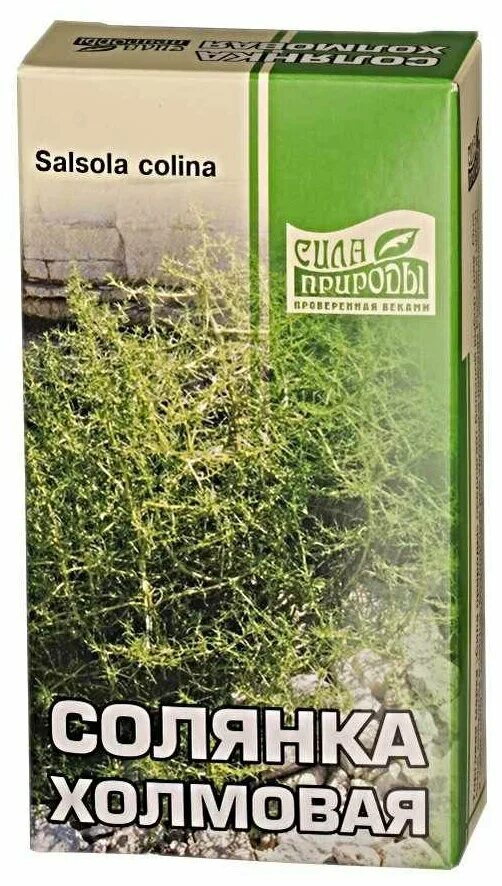 холмовая солянка показания. солянка холмовая камелия. солянка холмовая natural 50г камелия. солянка холмовая natural 50г камелия. солянка холмовая natural 50г камелия.