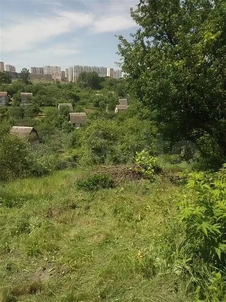 Снт зеленая роща курск озеро. Курская область, курский р-н, снт имени 1 мая. Курск зеленая роща. Снт биолог курск. Зелёная роща (щигровский район).