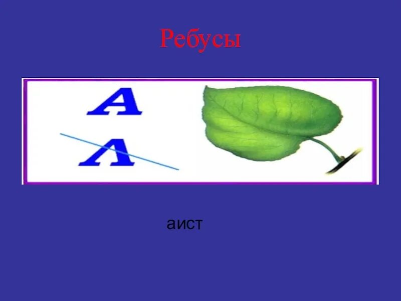 5 ребусов по биологии