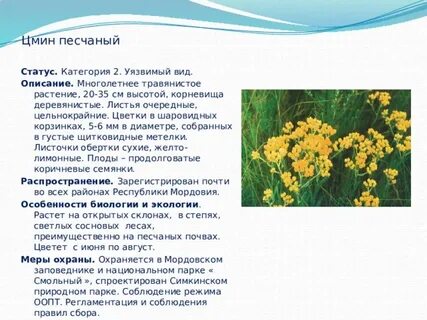 Растения и животные красной книги мордовии