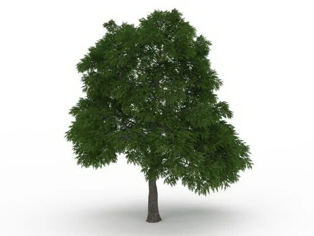 Max tree. Деревья в 3ds max. дерево для 3д макс. 3д макс дерево изометрия. дерево модель 3д макс 7.