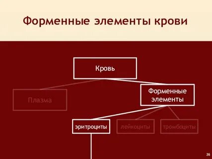 Форменные элементы относятся к