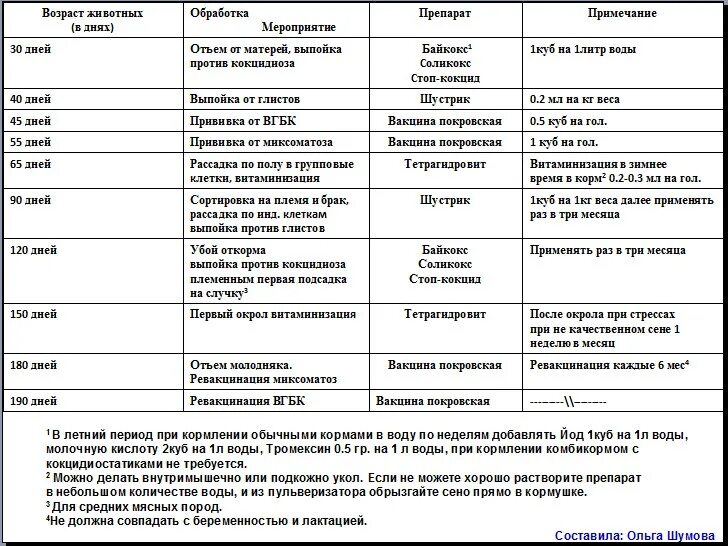 Схема вакцинации бройлеров в домашних условиях. Схема вакцинации кур несушек в домашних условиях. Схема прививок цыплятам. Вакцинация бройлеров схема.