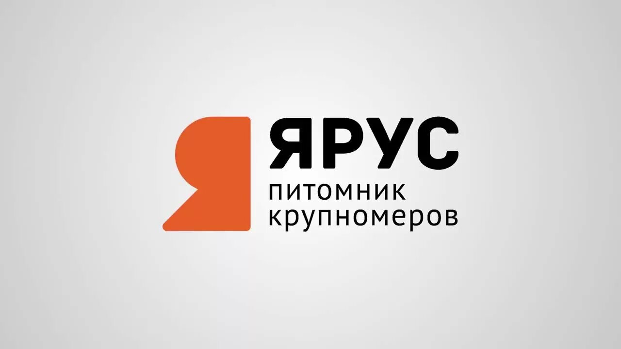 Ярус групп. Ярус питомник крупномеров. питомник ярус липецкая область. yarus социальная сеть. питомник ярус кто владеет.