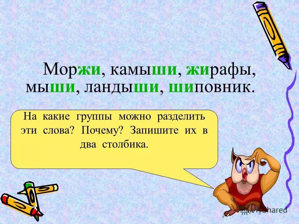 Число жи