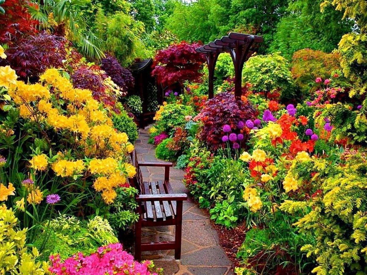Цветы в саду. Красивый сад. Сад с цветами. Осенние цветы в саду. Сады времен значение