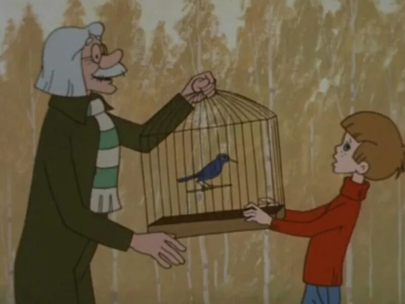Мальчик и птица оскар. Мальчик и птица кадры из мультфильма.