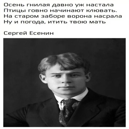 Осень наступила стало вдруг темно. Осень настала холодно стало куры. Стих осень настала холодно стало. Осен настала холодно стало. Осень настала холодно стало куры.