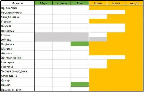 Фрукты по сезонам таблица
