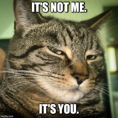You not one. Its you? Кот. Its not. Its it's. Its me Мем.