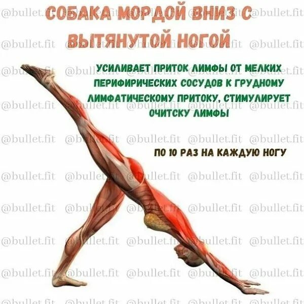 Как разогнать лимфу и избавиться от отеков. Упражнения разгоняющие лимфу. упражнения на разгон лимфы тела. как разогнать лимфу на ногах. упражнения разгоняющие лимфу ног.