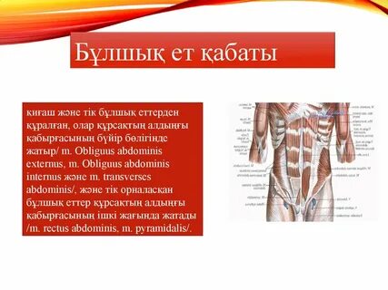 Вагинальды бұлшықеттерге арналған жаттығулар