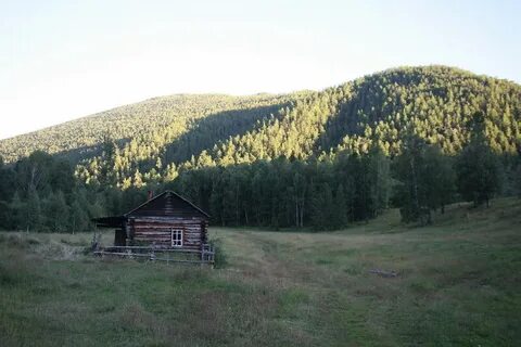 Погода в замульте