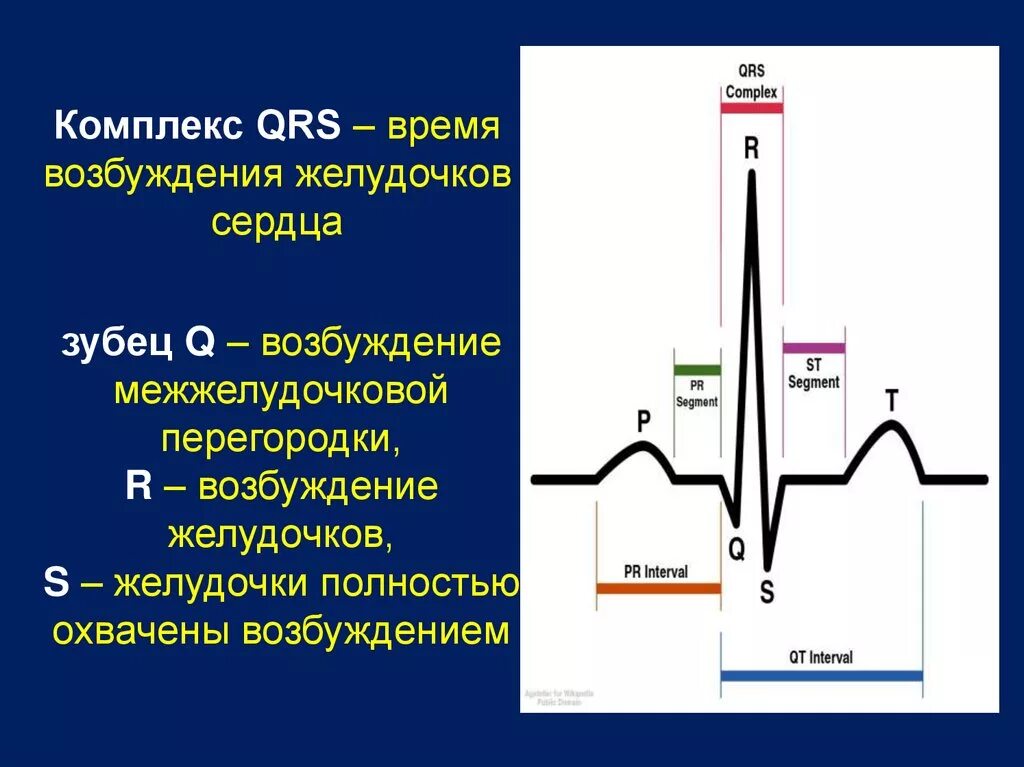 Комплекс зубцов QRS на ЭКГ. Отрицательный зубец р после QRS комплекса. Комплекс QRS на ЭКГ отражает. Зубец QRS на ЭКГ.