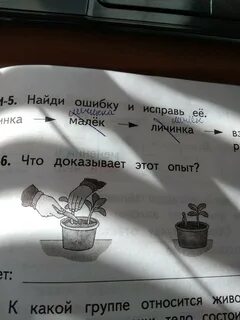 О чем этот опыт