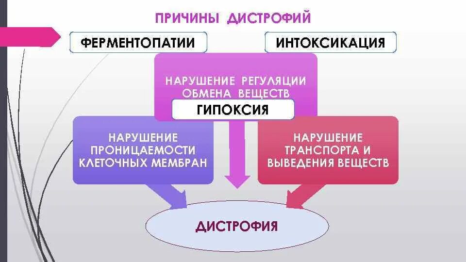 Дистрофия механизмы развития. Блок схема дистрофия. причины дистрофии. дистрофия схема. механизмы возникновения дистрофий.