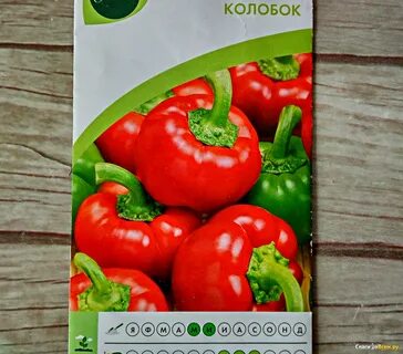 Томат колобок