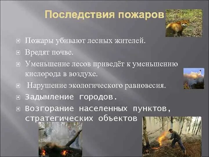 Последствия лесных пожаров. Последствия пожаров в природе. Экологические последствия лесных пожаров. Последствия лесных пожаров для человека. Ущерб от пожара третьим лицам