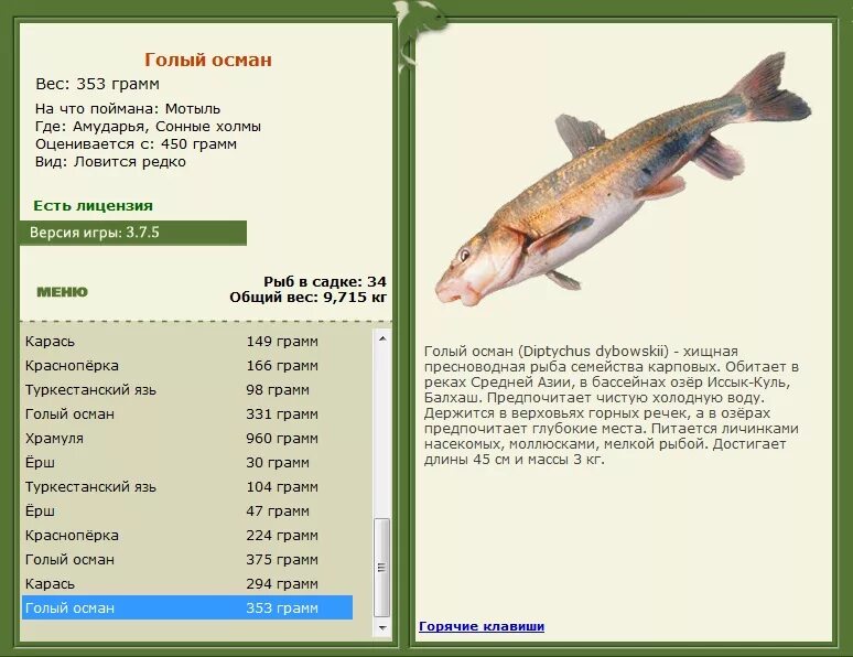 Киты фильтраторы. Морские животные фильтраторы. Дельфины являются млекопитающими. Животные обитающие в пресных водах. Виды водных млекопитающих.