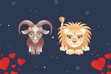 Характер льва. Характер овна и козы. Коза стрелец. Тигр телец мужчина. Лев и овен.