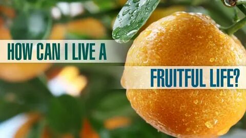 Fruitful 32x
