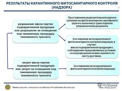 Новости мсх рк о ввозе свинины