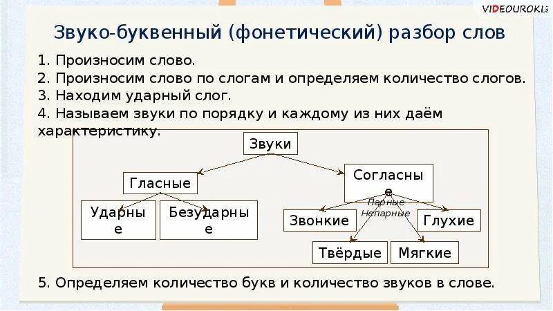 Алгоритм звуко буквенного разбора слова 2 класс. Алгоритм выполнения фонетического разбора 2 класс. Алгоритм фонетического разбора 3 класс. Алгоритм звукобуквенного разбора 3 класс.