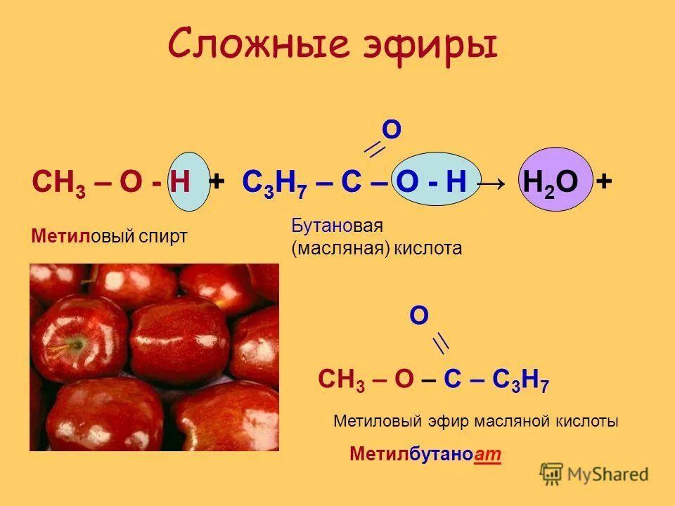 Метанол метиловый эфир. Метиловый эфир бутановой (масляной) кислоты. Сложный эфир метилового спирта. Сложный эфир метанола.