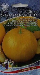 Дыня сибирская медовая