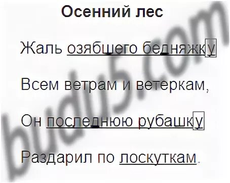 Последняя рубашка ответы на вопросы