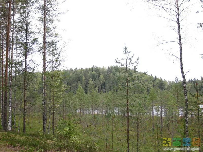 Царицына гора тосненский район. Ветреный кряж. Гора колпаки пермский край зимой. Царицына гора. Камень европа-азия.